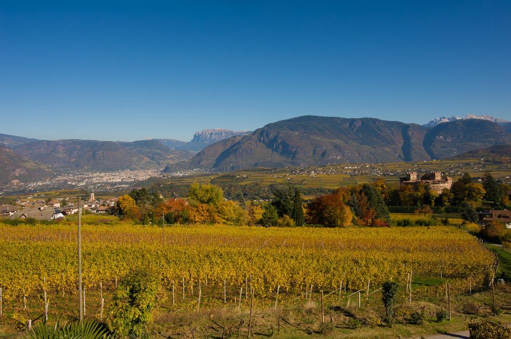Weingut Wolkanhof 아피아노 술라 스트라다 델 비노 외부 사진