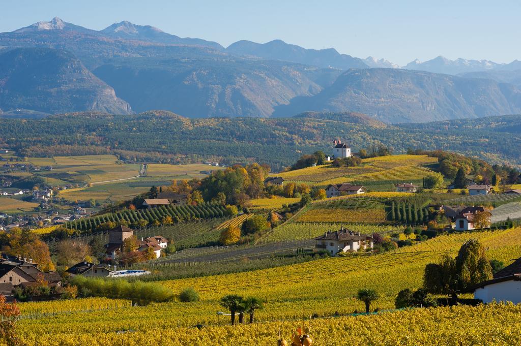 Weingut Wolkanhof 아피아노 술라 스트라다 델 비노 외부 사진