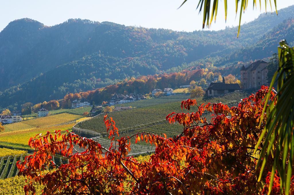 Weingut Wolkanhof 아피아노 술라 스트라다 델 비노 외부 사진