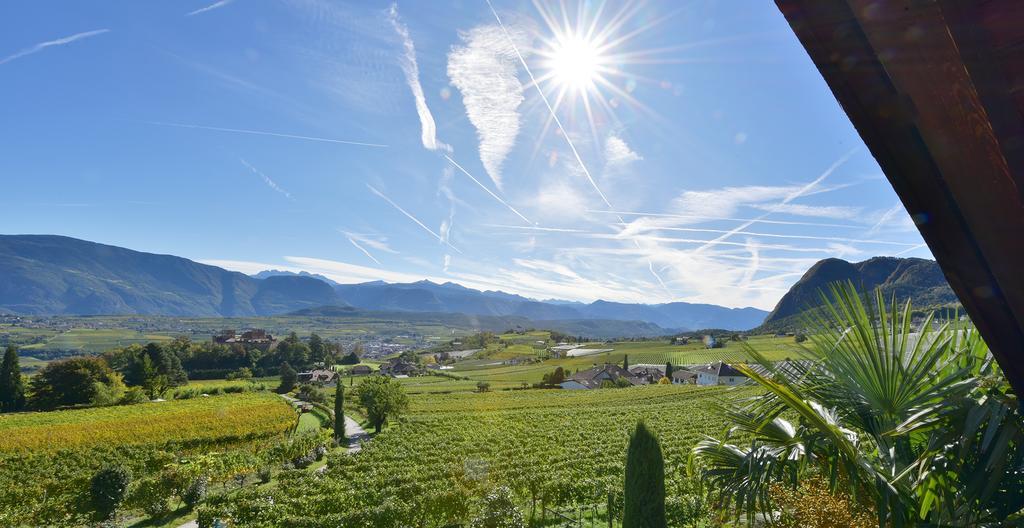 Weingut Wolkanhof 아피아노 술라 스트라다 델 비노 외부 사진
