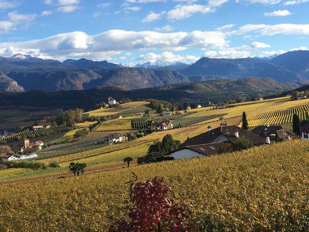 Weingut Wolkanhof 아피아노 술라 스트라다 델 비노 외부 사진