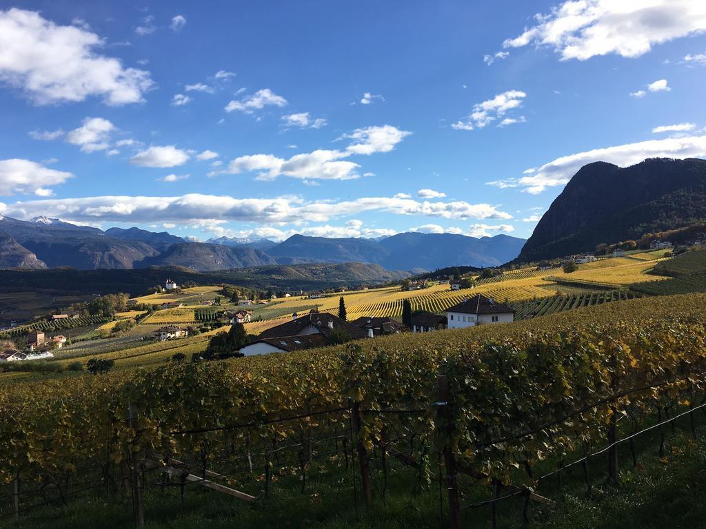 Weingut Wolkanhof 아피아노 술라 스트라다 델 비노 외부 사진