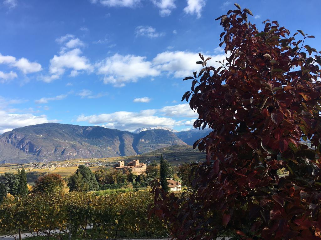 Weingut Wolkanhof 아피아노 술라 스트라다 델 비노 외부 사진