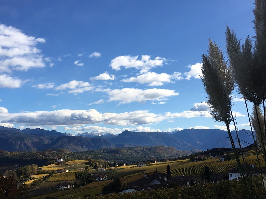 Weingut Wolkanhof 아피아노 술라 스트라다 델 비노 외부 사진