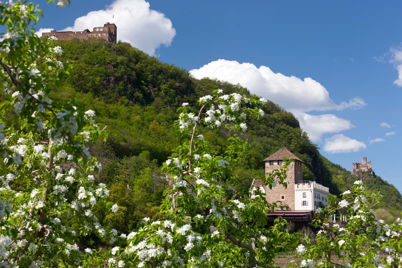 Weingut Wolkanhof 아피아노 술라 스트라다 델 비노 외부 사진