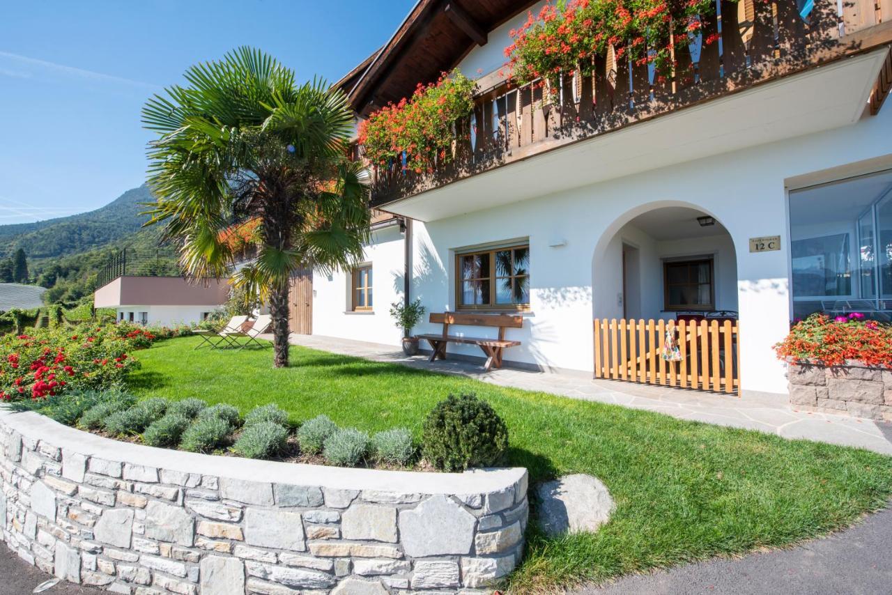Weingut Wolkanhof 아피아노 술라 스트라다 델 비노 외부 사진